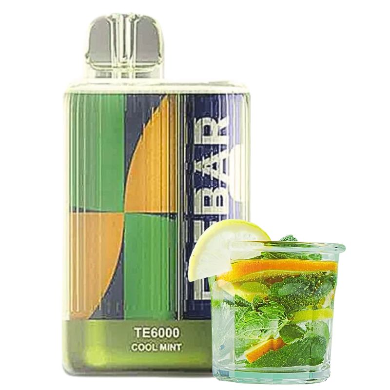 ELF BAR TE 6000 PUFF COOL MINT ORIGNAL