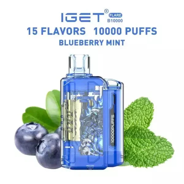 IGET FLARE B10000 Rechargeable Device - 10000 Puffs